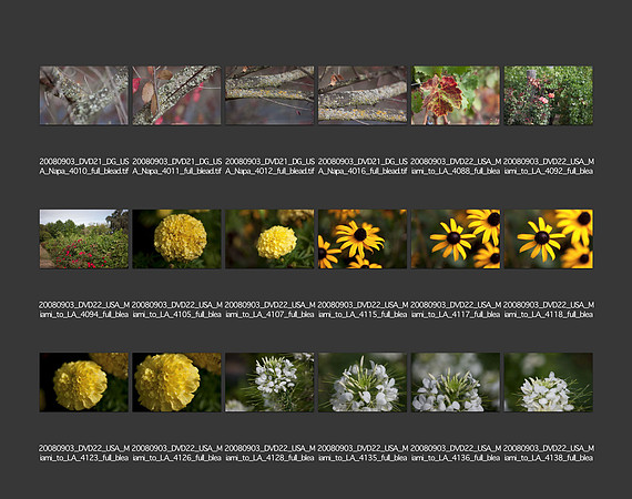 USA_2008_CONTACT_SHEETS_ 205