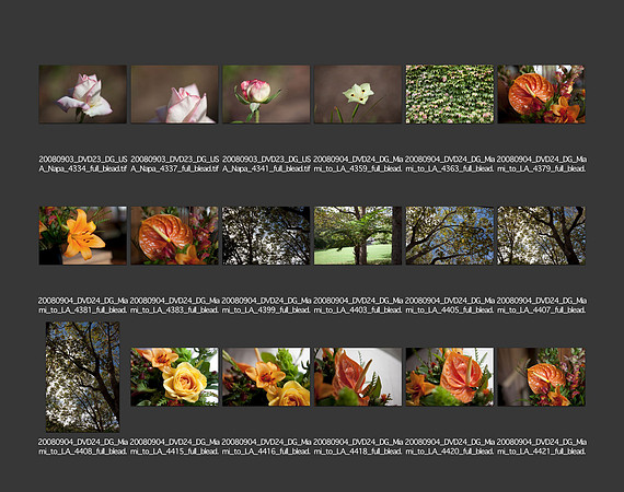 USA_2008_CONTACT_SHEETS_ 209