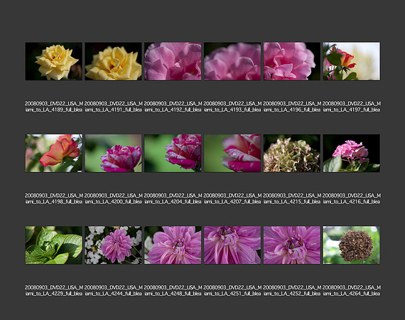 USA_2008_CONTACT_SHEETS_ 207