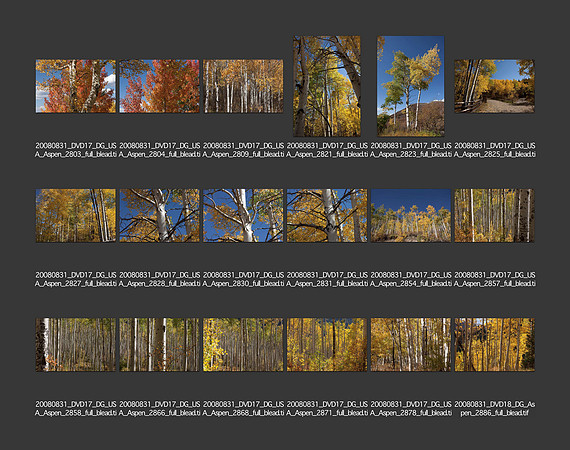 USA_2008_CONTACT_SHEETS_ 195