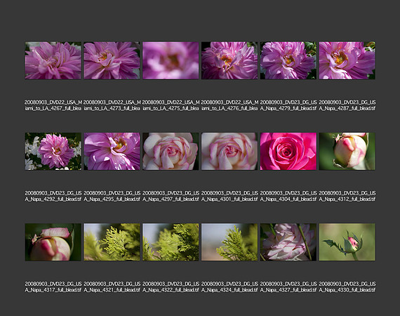 USA_2008_CONTACT_SHEETS_ 208