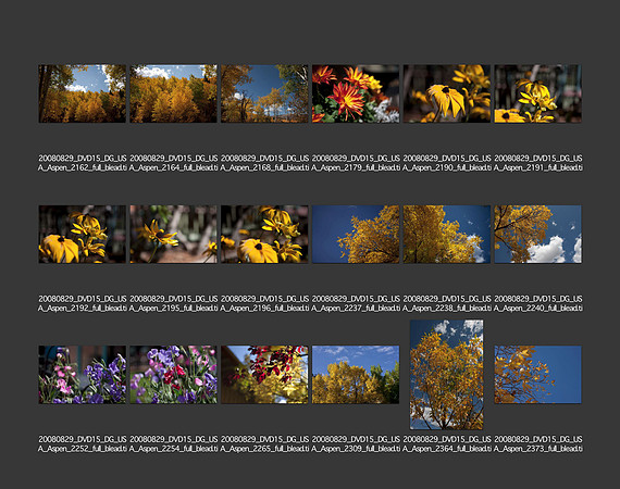 USA_2008_CONTACT_SHEETS_ 191