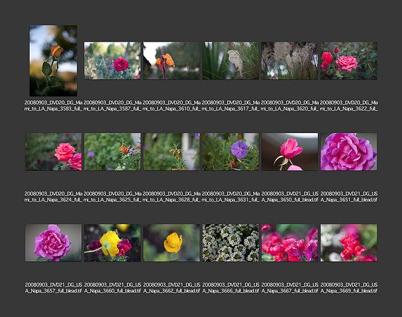 USA_2008_CONTACT_SHEETS_ 198