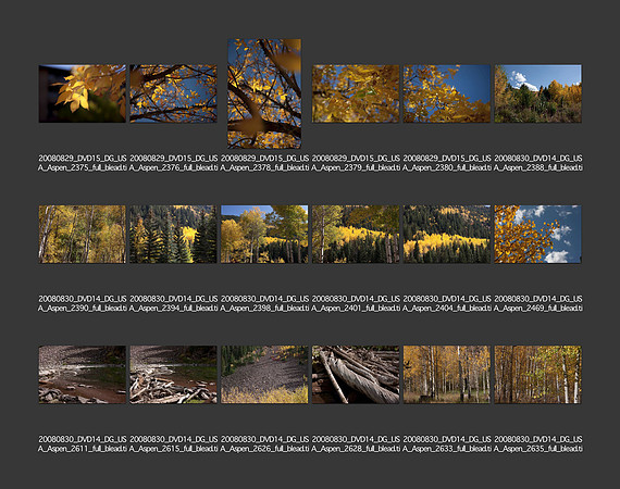 USA_2008_CONTACT_SHEETS_ 192