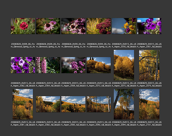 USA_2008_CONTACT_SHEETS_ 189
