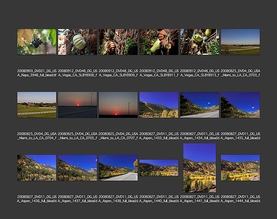 USA_2008_CONTACT_SHEETS_ 150