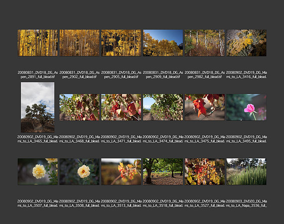 USA_2008_CONTACT_SHEETS_ 196