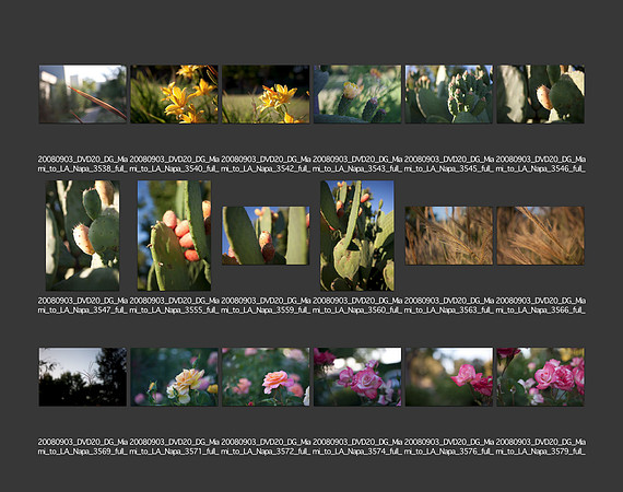 USA_2008_CONTACT_SHEETS_ 197