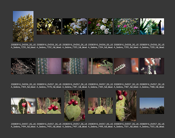 USA_2008_CONTACT_SHEETS_ 219
