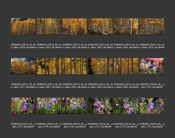 USA_2008_CONTACT_SHEETS_ 193