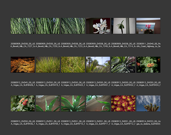 USA_2008_CONTACT_SHEETS_ 217