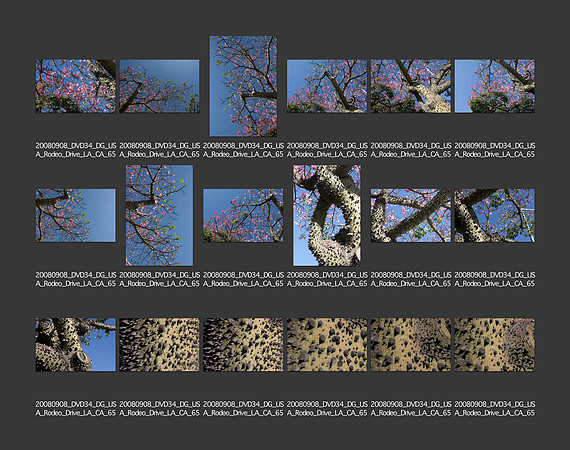 USA_2008_CONTACT_SHEETS_ 216