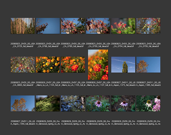 USA_2008_CONTACT_SHEETS_ 187