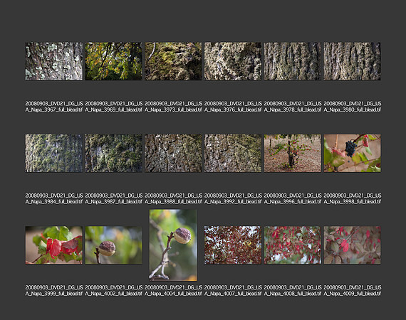 USA_2008_CONTACT_SHEETS_ 204
