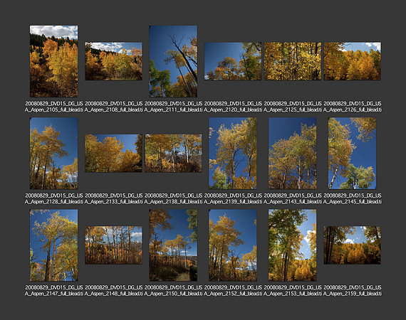 USA_2008_CONTACT_SHEETS_ 190