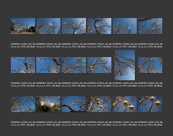 USA_2008_CONTACT_SHEETS_ 210
