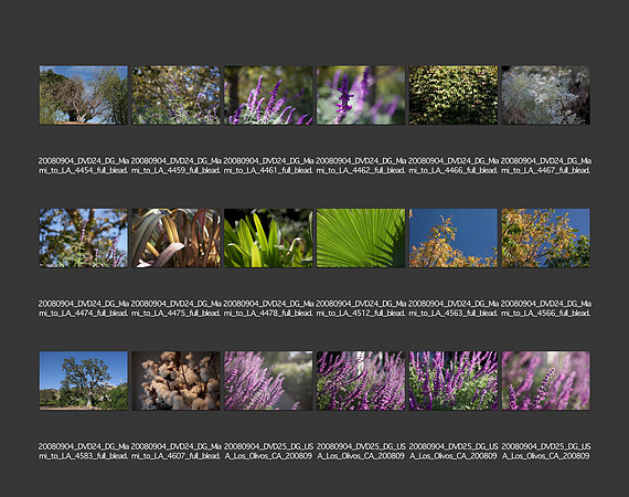 USA_2008_CONTACT_SHEETS_ 211