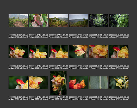 USA_2008_CONTACT_SHEETS_ 200