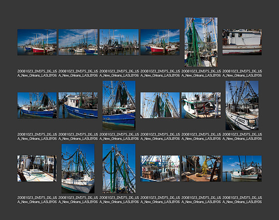 USA_2008_CONTACT_SHEETS_ 261