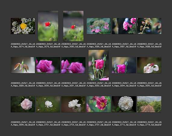 USA_2008_CONTACT_SHEETS_ 199