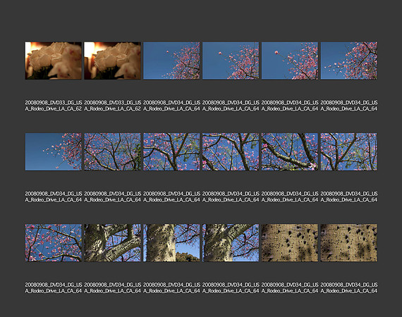 USA_2008_CONTACT_SHEETS_ 214