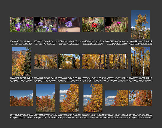 USA_2008_CONTACT_SHEETS_ 194