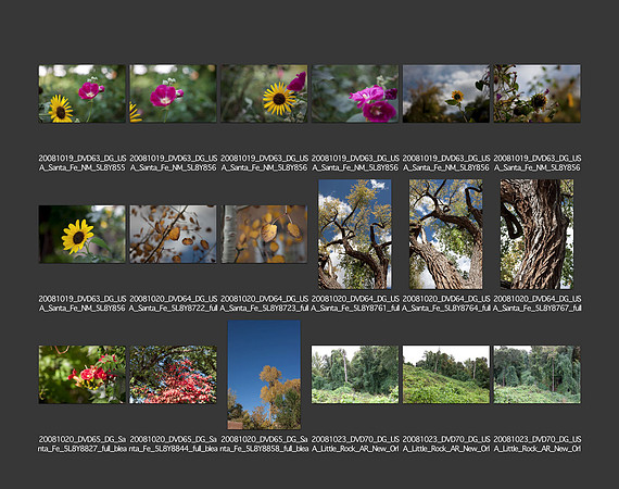 USA_2008_CONTACT_SHEETS_ 221