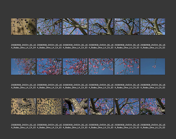 USA_2008_CONTACT_SHEETS_ 215