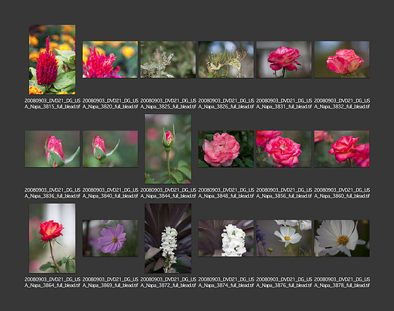 USA_2008_CONTACT_SHEETS_ 202