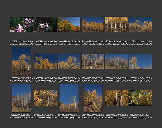 USA_2008_CONTACT_SHEETS_ 188