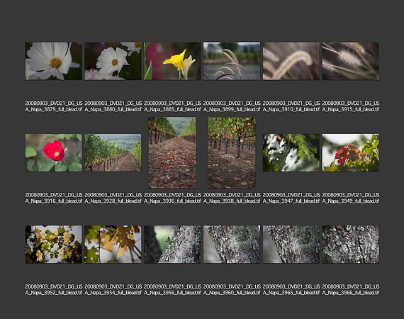 USA_2008_CONTACT_SHEETS_ 203