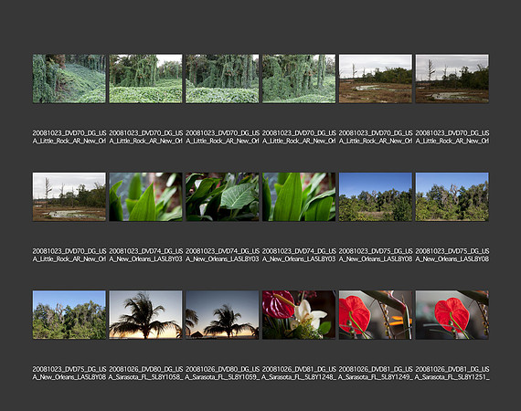 USA_2008_CONTACT_SHEETS_ 222
