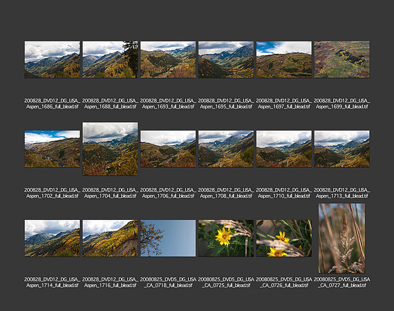 USA_2008_CONTACT_SHEETS_ 186