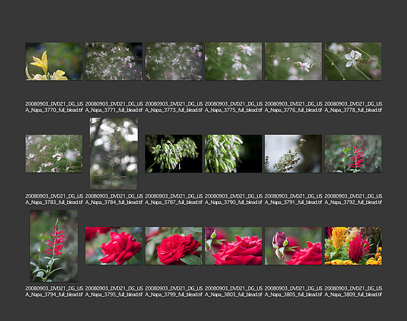 USA_2008_CONTACT_SHEETS_ 201