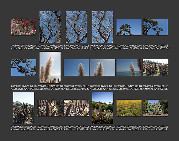 USA_2008_CONTACT_SHEETS_ 212