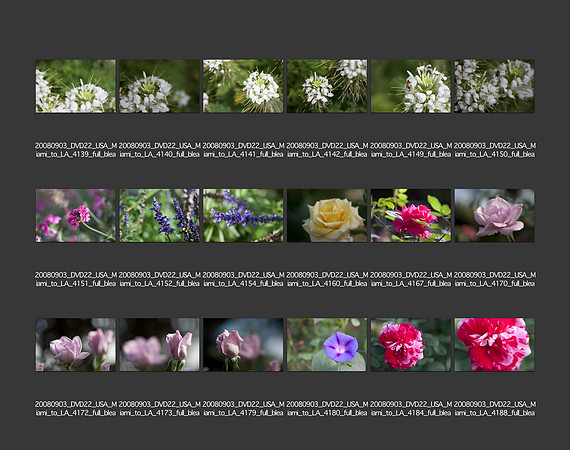 USA_2008_CONTACT_SHEETS_ 206