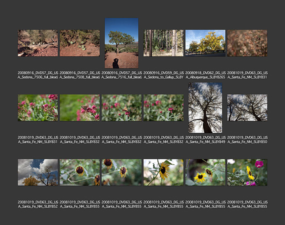 USA_2008_CONTACT_SHEETS_ 220