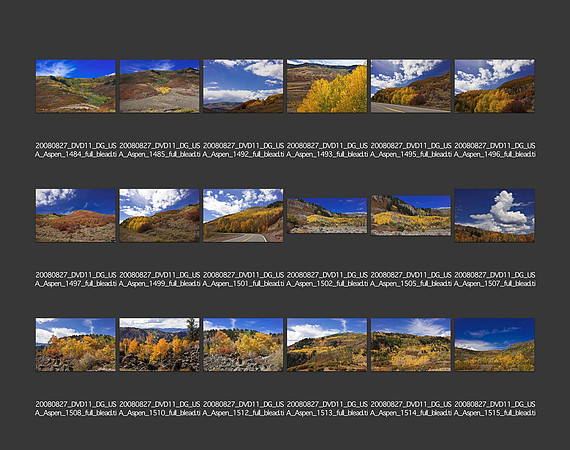 USA_2008_CONTACT_SHEETS_ 152
