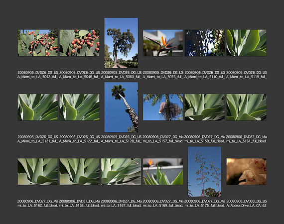 USA_2008_CONTACT_SHEETS_ 213