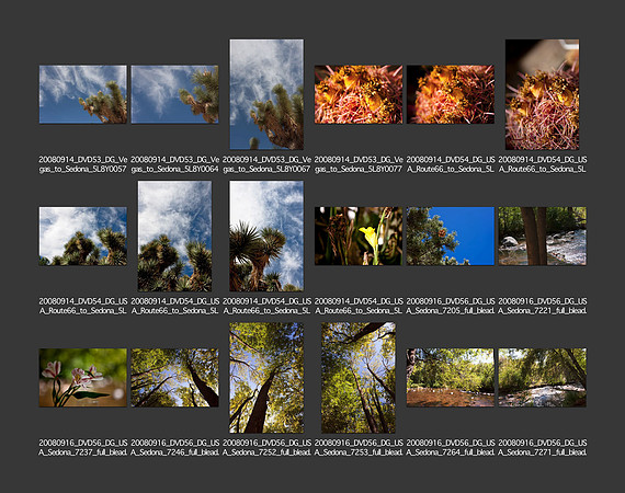 USA_2008_CONTACT_SHEETS_ 218