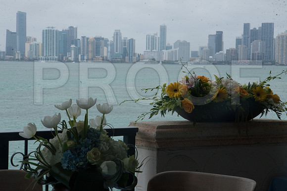 _MG_2313-2