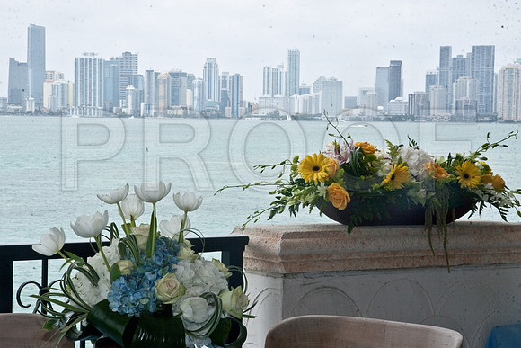 _MG_2312-2-2-2