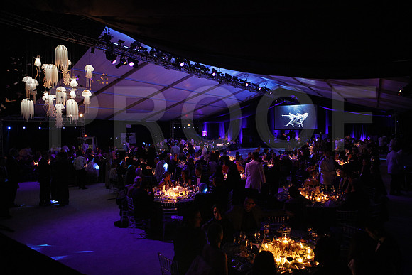 20160123_MCB_Gala_30th__S5A3966