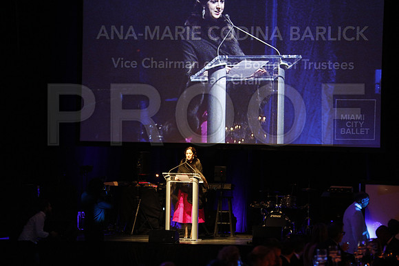 20160123_MCB_Gala_30th__S5A3742