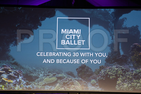 20160123_MCB_Gala_30th__S5A3353