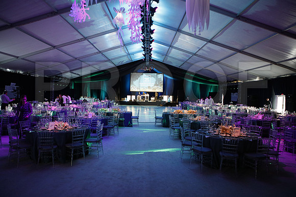 20160123_MCB_Gala_30th__S5A3320