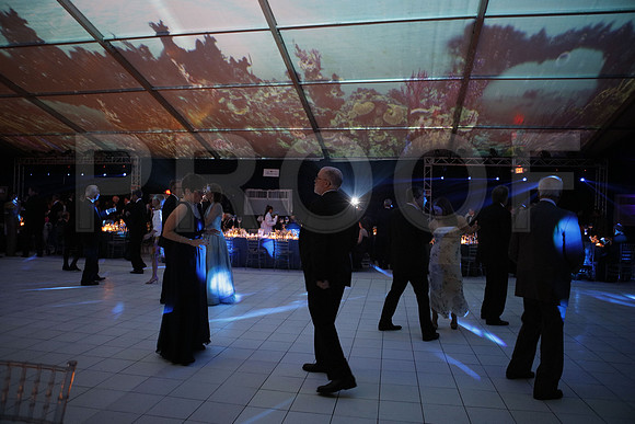 20160123_MCB_Gala_30th__S5A3653