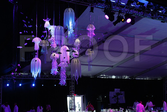 20160123_MCB_Gala_30th__S5A3321