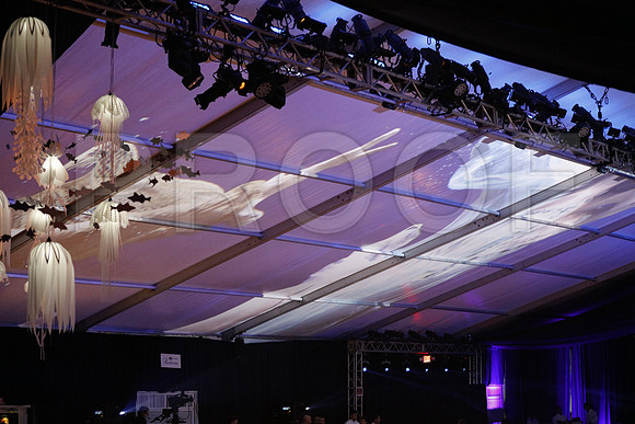 20160123_MCB_Gala_30th__S5A4016