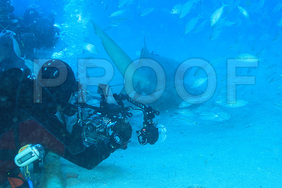 20150606_Scuba_OR_Miami_IMG_8842